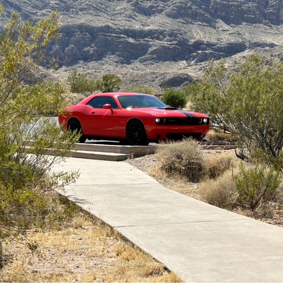 DON’T’T WAIT! DO IT NOW! - Picture 9 of 15